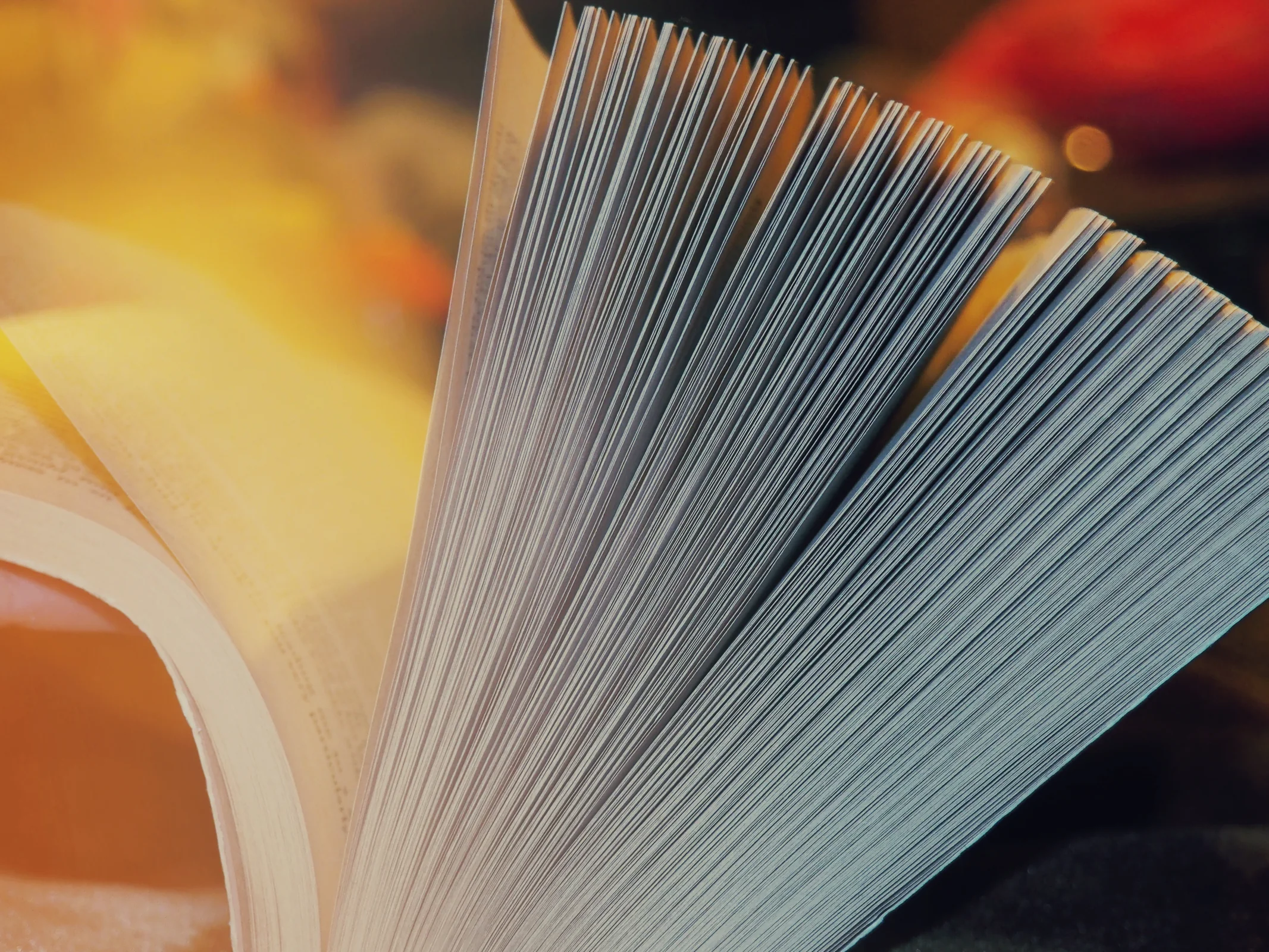 Open reference book illustrating documentation